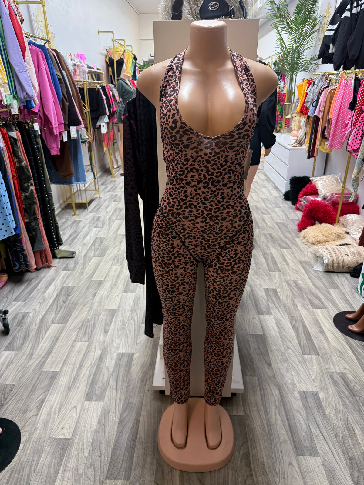 Wild Intentions Leopard Halter Jumpsuit